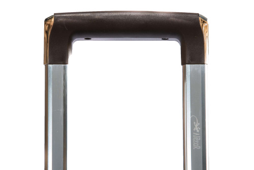 Alezar Carbonic Matkalaukku Ruskea 24