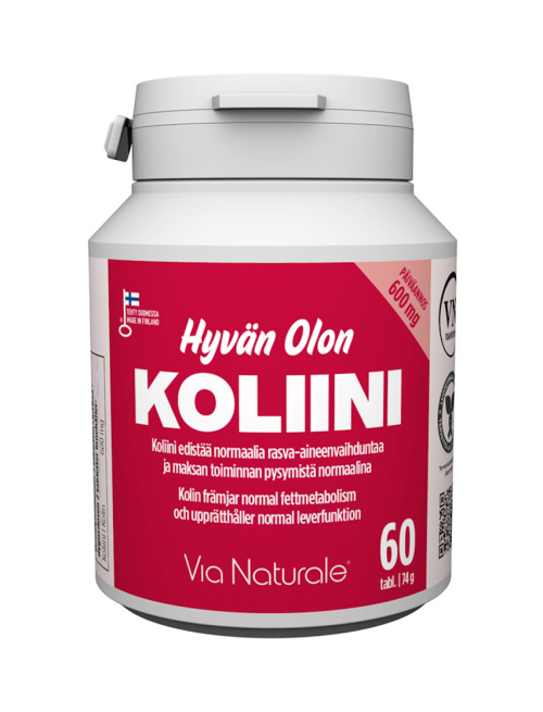 VN Hyvän Olon Koliini 600mg 60tabl