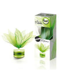 BRAIT Magnolia ilmanraikastin 50 ml