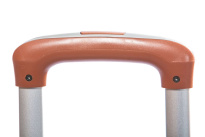 Alezar Gold Matkalaukku Punainen 28