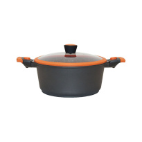 Besco Casserole 24