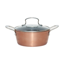 Eaton kattila lasikannella 20 cm