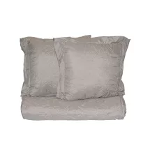 Peittesetti (peite+2tyyny)vaalea harmaa 240*240