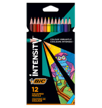 BIC Intensity värikynät 12kpl