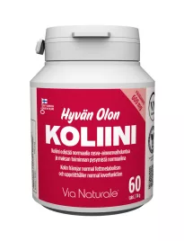 VN Hyvän Olon Koliini 600mg 60tabl 