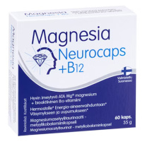 Magnesia Neurocaps + B12 60kaps 35g